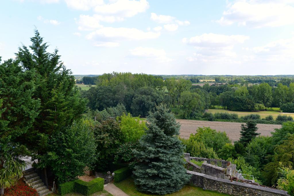 Gites Troglodytes Du Chateau De L'Etoile Vernou-sur-Brenne Δωμάτιο φωτογραφία